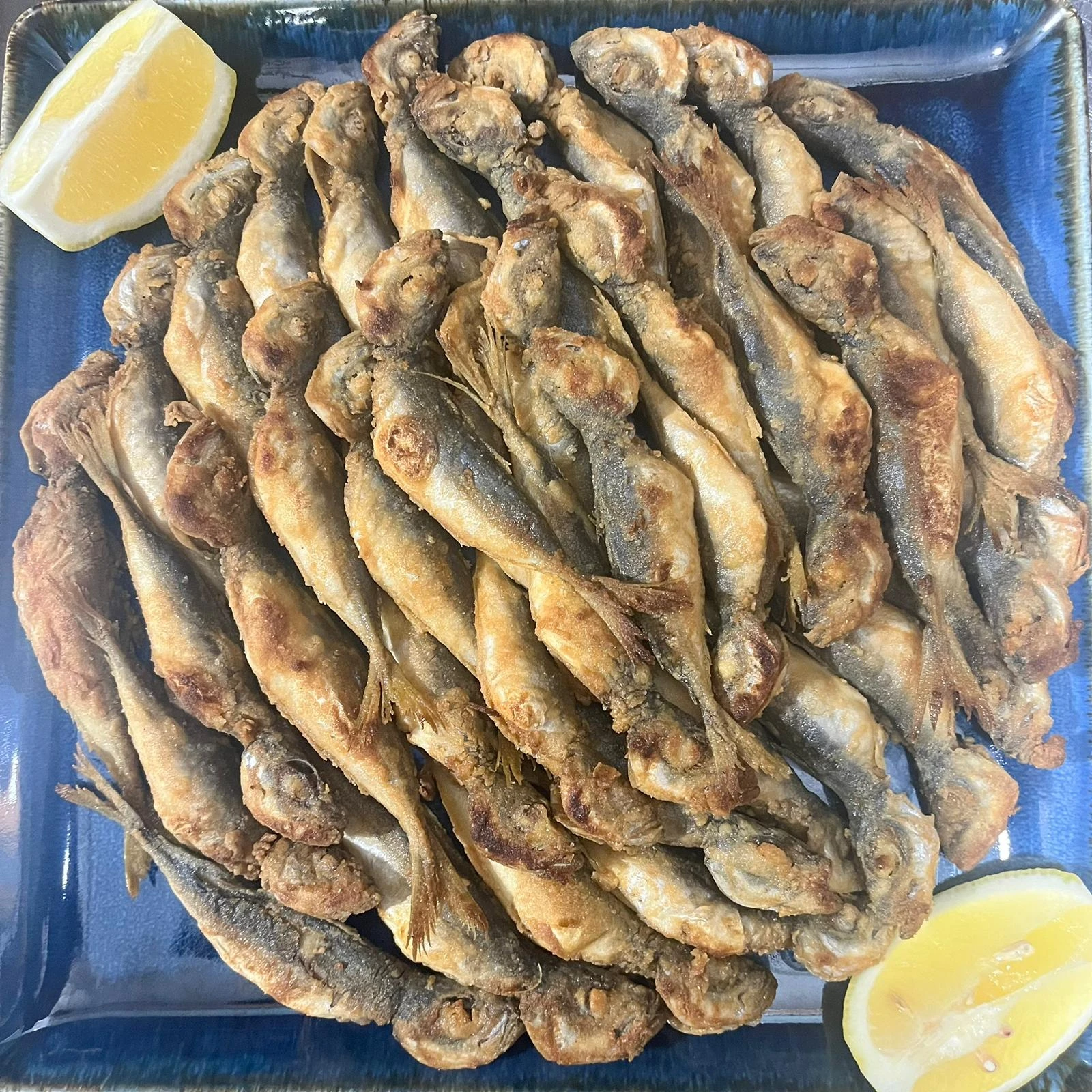 İstavrit